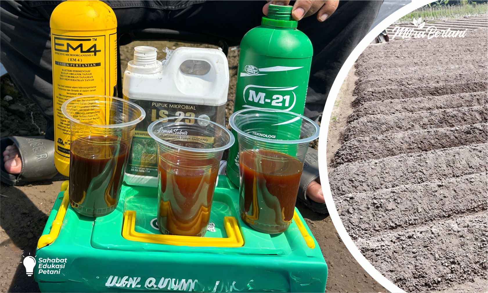 JANGAN SALAH PILIH DEKOMPOSER! EM4 vs M21 vs LS23, MANA DEKOMPOSER TERBAIK? INI HASIL PERBANDINGANNYA!