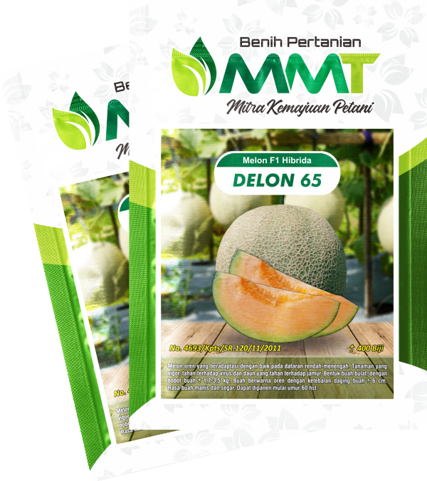 DELON 65